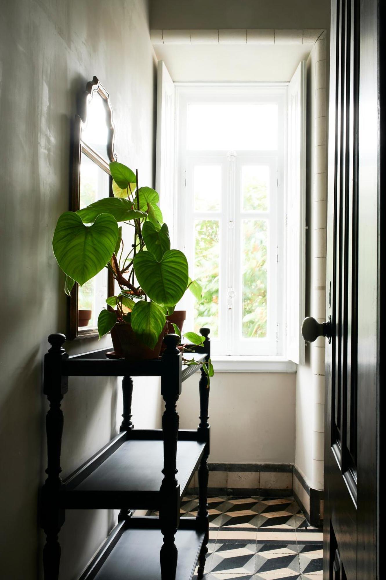 Vila Branca Guesthouse - Palacete Figueira da Foz Luaran gambar